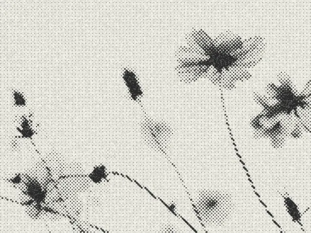 Preview of halftone dots